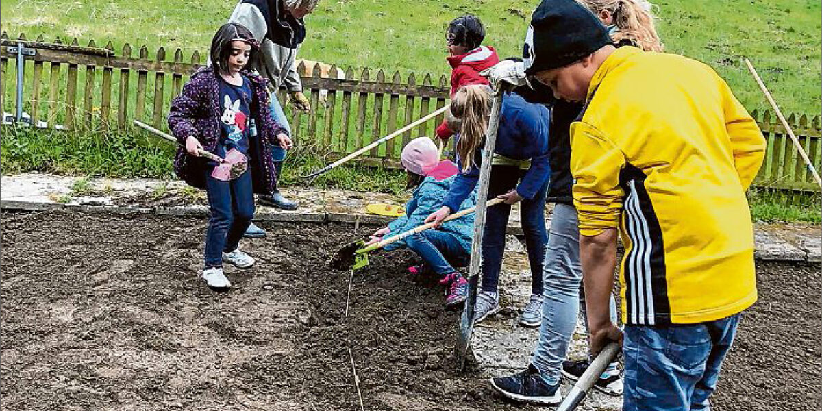 sz-14062019-kooperation-burgfeldschule Außerschulischer Lernort in der Natur, der einfach Spaß bereitet und nachhaltig ist: Schüler der Burgfeldschule bewirtschaften den Garten an der Bad Berleburger Espequelle. (Foto: Verein)